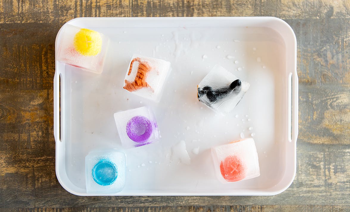 Tray with blocks of ice with animal figurines frozen in them